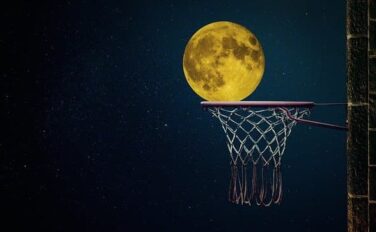 Study Gorilla ページ 5